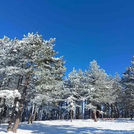 Irvas דירה זלאטיבור