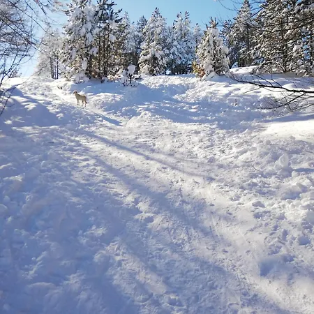 Irvas * זלאטיבור