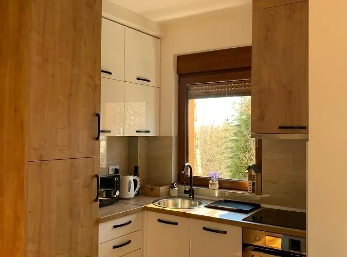 Апартаменты Irvas Златибор