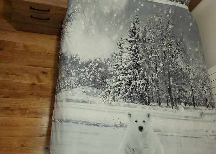 Апартаменты Irvas