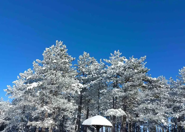 Апартаменты Irvas *