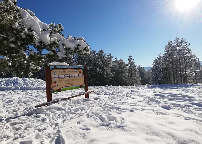 Апартаменты Irvas *