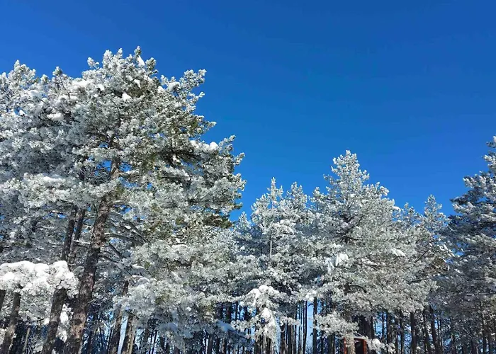 Irvas Апартаменты Златибор