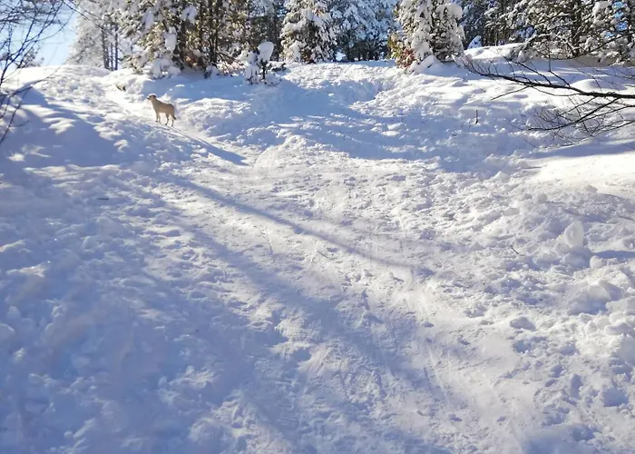 Irvas * Златибор